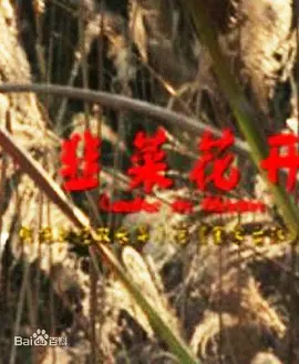 韭菜花开海报